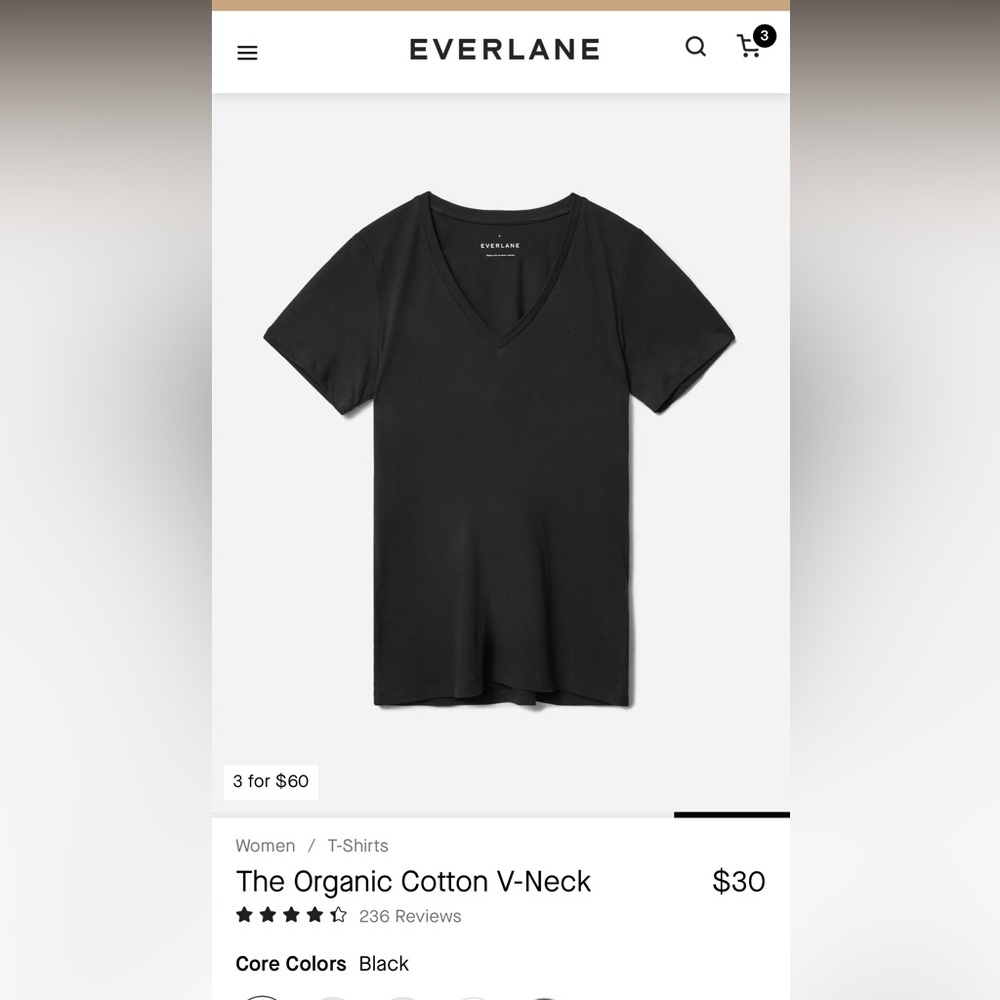 Everlane Black V Neck Tshirt